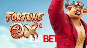 Premium Interface 116bet