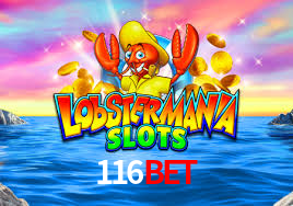 116bet