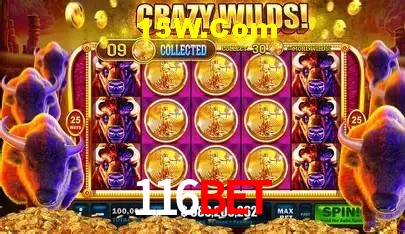 116bet Salvador - Strategy