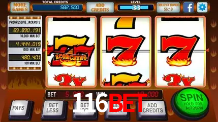 116bet Brasília - Jogo Features