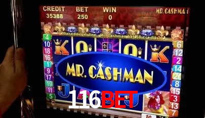 116bet Salvador - Support