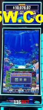 Live Casino 116bet